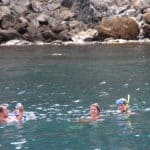 guest_catalina_swimming_01_med