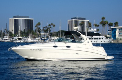 Rent a Searay Cruiser