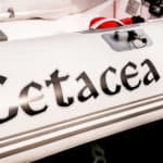 cetacea-dinghy-01