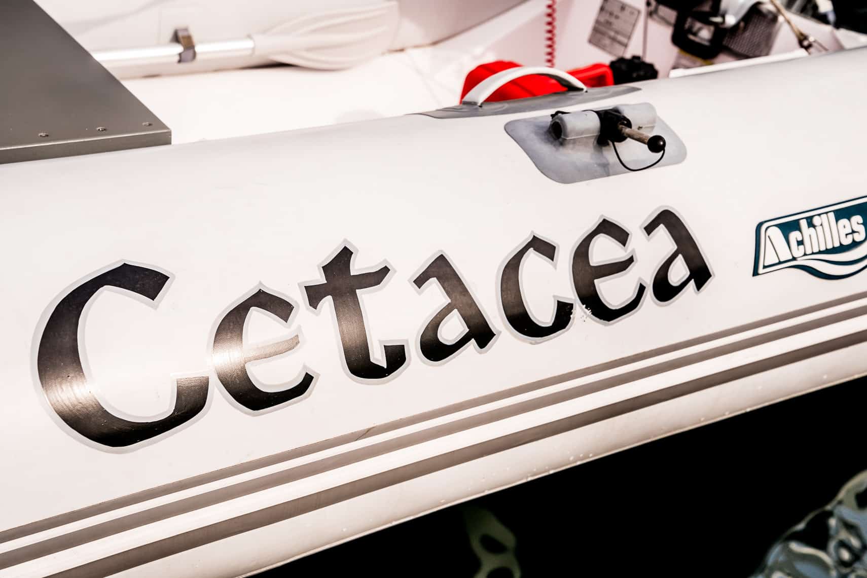 cetacea-dinghy-01