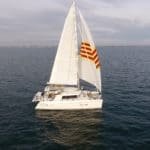 cetacea-starboard