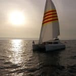 cetacea-sunset